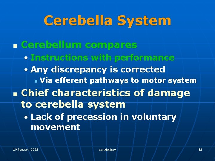 Cerebella System n Cerebellum compares • Instructions with performance • Any discrepancy is corrected