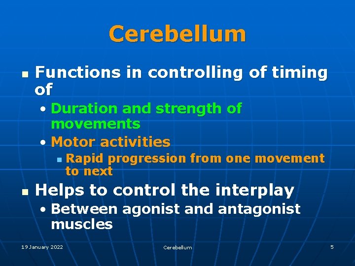 Cerebellum n Functions in controlling of timing of • Duration and strength of movements