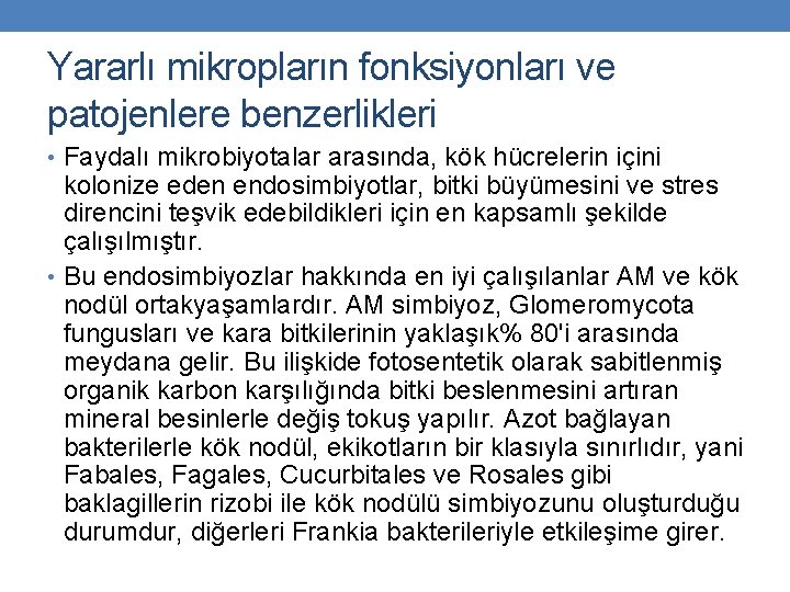 Yararlı mikropların fonksiyonları ve patojenlere benzerlikleri • Faydalı mikrobiyotalar arasında, kök hücrelerin içini kolonize