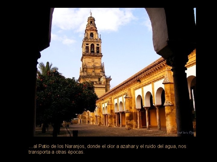 …al Patio de los Naranjos, donde el olor a azahar y el ruido del