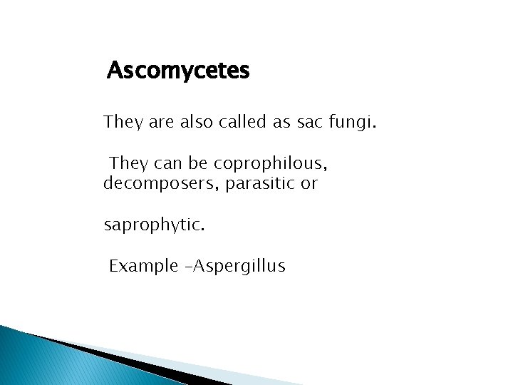 Ascomycetes They are also called as sac fungi. They can be coprophilous, decomposers, parasitic