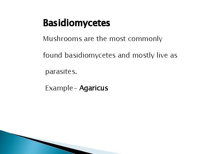 Basidiomycetes Mushrooms are the most commonly found basidiomycetes and mostly live as parasites. Example-