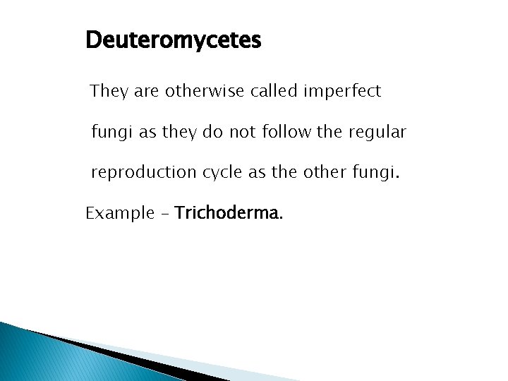 Deuteromycetes They are otherwise called imperfect fungi as they do not follow the regular