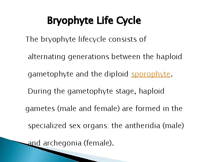 Bryophyte Life Cycle The bryophyte lifecycle consists of alternating generations between the haploid gametophyte