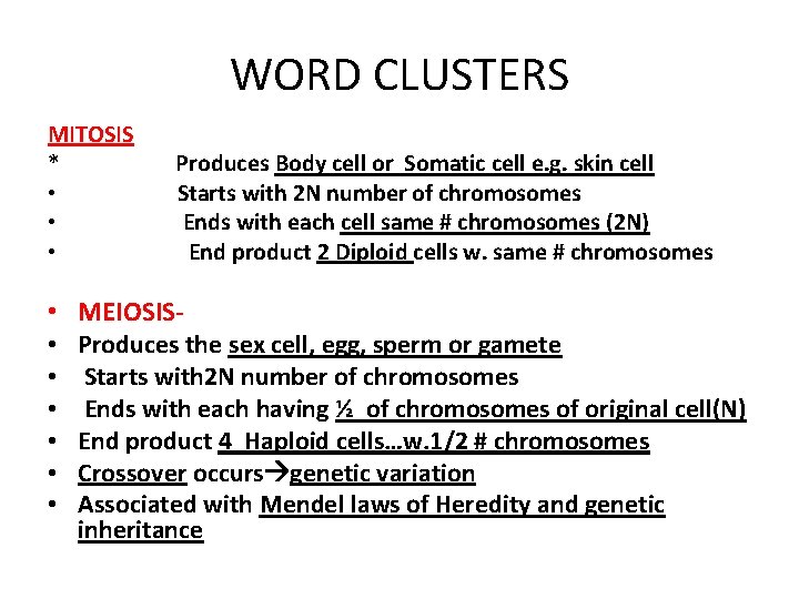 WORD CLUSTERS MITOSIS * • • • Produces Body cell or Somatic cell e.