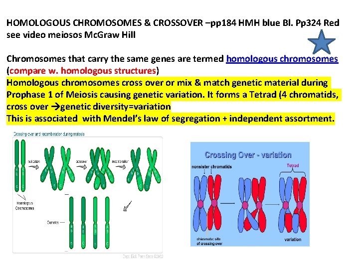 HOMOLOGOUS CHROMOSOMES & CROSSOVER –pp 184 HMH blue Bl. Pp 324 Red see video