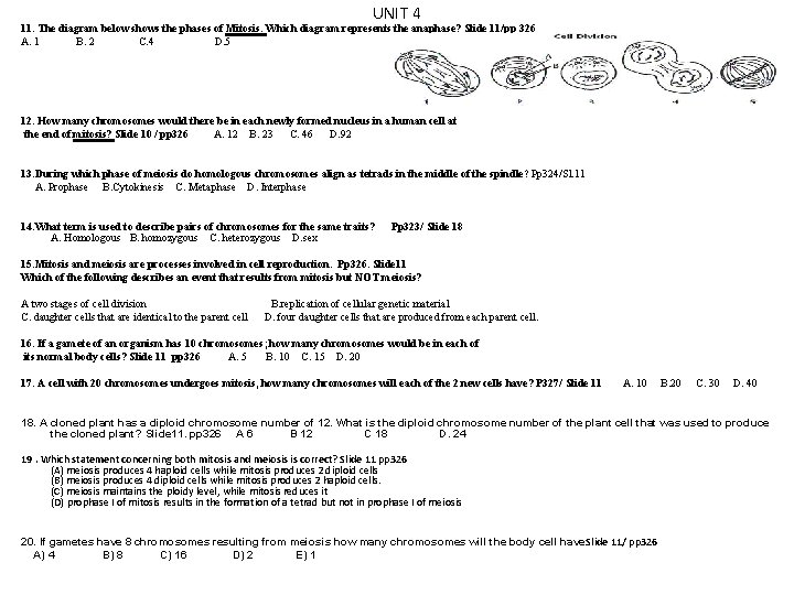 UNIT 4 11. The diagram below shows the phases of Mitosis. Which diagram represents