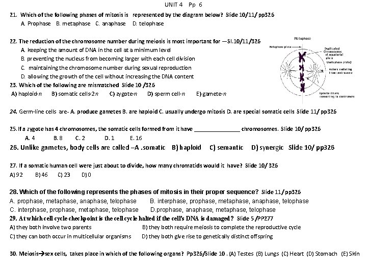 UNIT 4 Pp 6 21. Which of the following phases of mitosis is represented