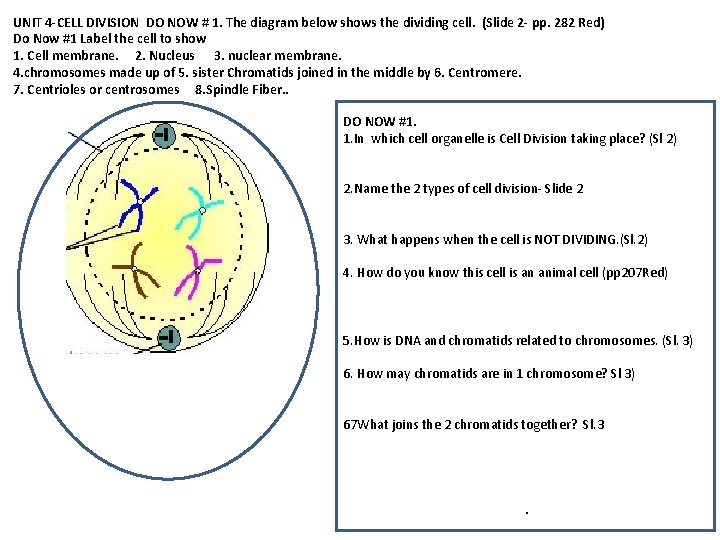UNIT 4 -CELL DIVISION DO NOW # 1. The diagram below shows the dividing