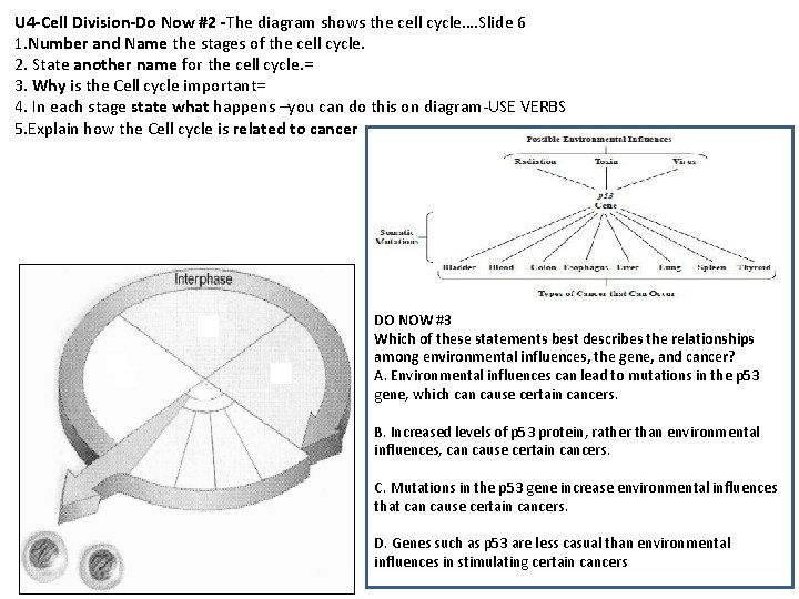 U 4 -Cell Division-Do Now #2 -The diagram shows the cell cycle…. Slide 6