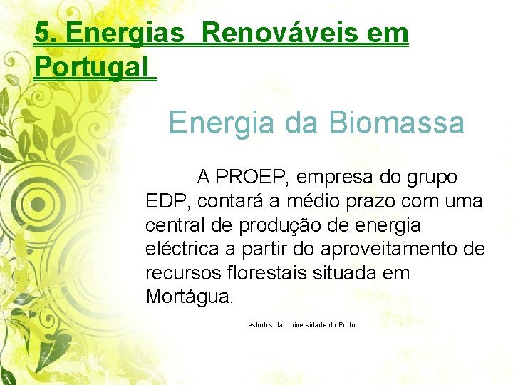 5. Energias Renováveis em Portugal Energia da Biomassa A PROEP, empresa do grupo EDP,