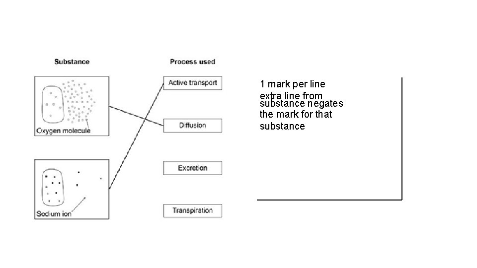 1 mark per line extra line from substance negates the mark for that substance