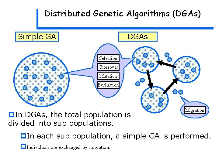 Distributed Genetic Algorithms (DGAs) Simple GA DGAs Selection Crossover Mutation Evaluation p. In DGAs, Distributed Genetic Algorithms (DGAs) Simple GA DGAs Selection Crossover Mutation Evaluation p. In DGAs,