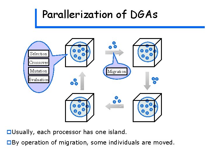 Parallerization of DGAs Selection Crossover Mutation Migration Evaluation p. Usually, each processor has one Parallerization of DGAs Selection Crossover Mutation Migration Evaluation p. Usually, each processor has one