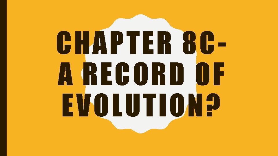CHAPTER 8 CA RECORD OF EVOLUTION? 