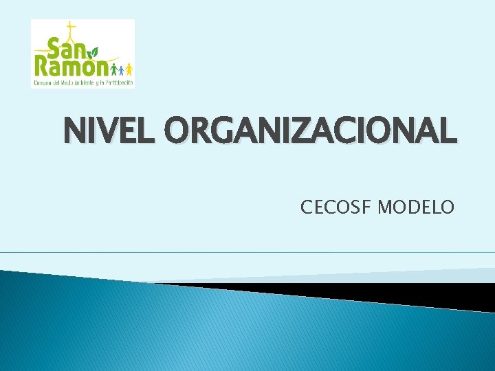 NIVEL ORGANIZACIONAL CECOSF MODELO 