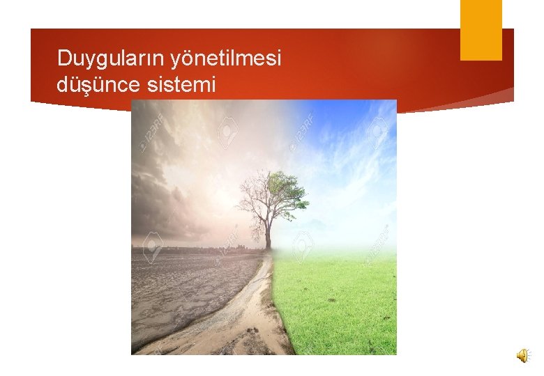 Duyguların yönetilmesi düşünce sistemi 