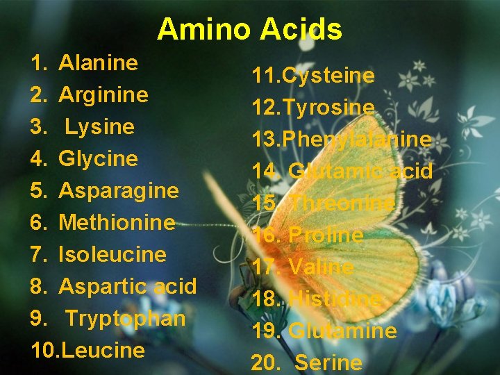 Amino Acids 1. Alanine 2. Arginine 3. Lysine 4. Glycine 5. Asparagine 6. Methionine