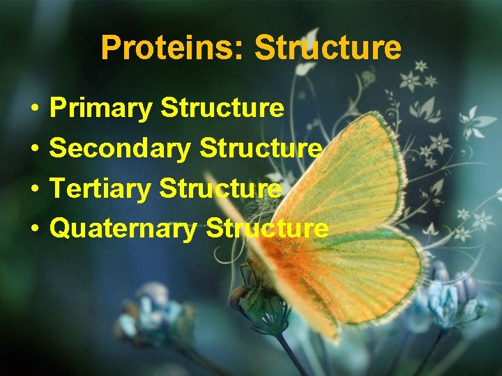 Proteins: Structure • • Primary Structure Secondary Structure Tertiary Structure Quaternary Structure 