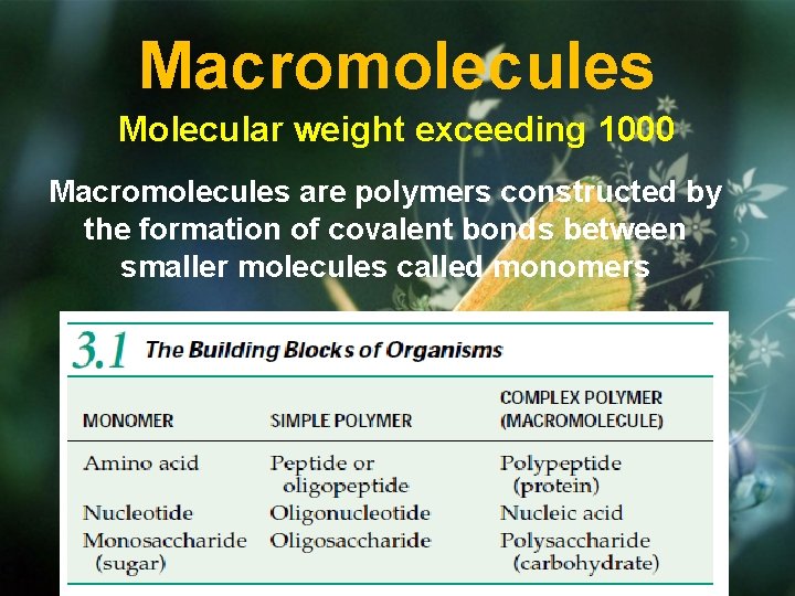 Macromolecules Molecular weight exceeding 1000 Macromolecules are polymers constructed by the formation of covalent