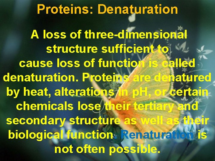 Proteins: Denaturation A loss of three-dimensional structure sufficient to cause loss of function is