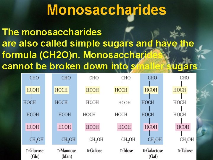 Monosaccharides The monosaccharides are also called simple sugars and have the formula (CH 2