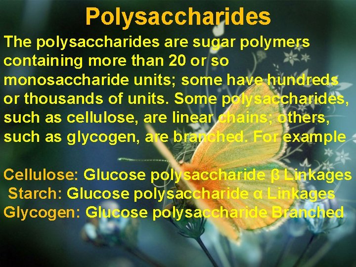 Polysaccharides The polysaccharides are sugar polymers containing more than 20 or so monosaccharide units;