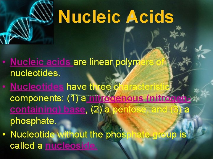 Nucleic Acids • Nucleic acids are linear polymers of nucleotides. • Nucleotides have three