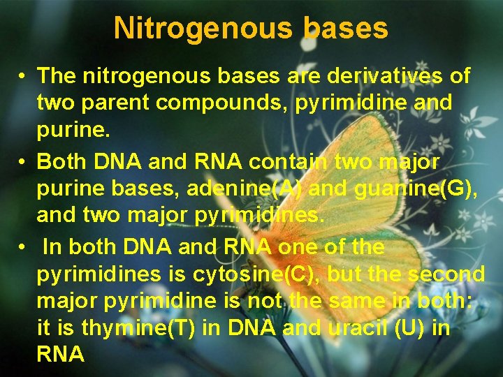 Nitrogenous bases • The nitrogenous bases are derivatives of two parent compounds, pyrimidine and
