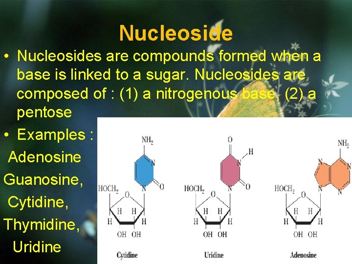 Nucleoside • Nucleosides are compounds formed when a base is linked to a sugar.