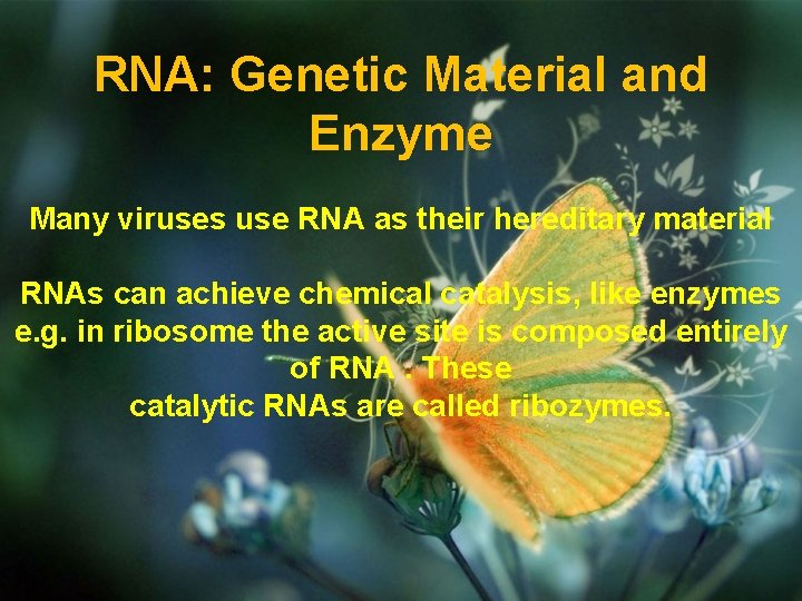 RNA: Genetic Material and Enzyme Many viruses use RNA as their hereditary material RNAs