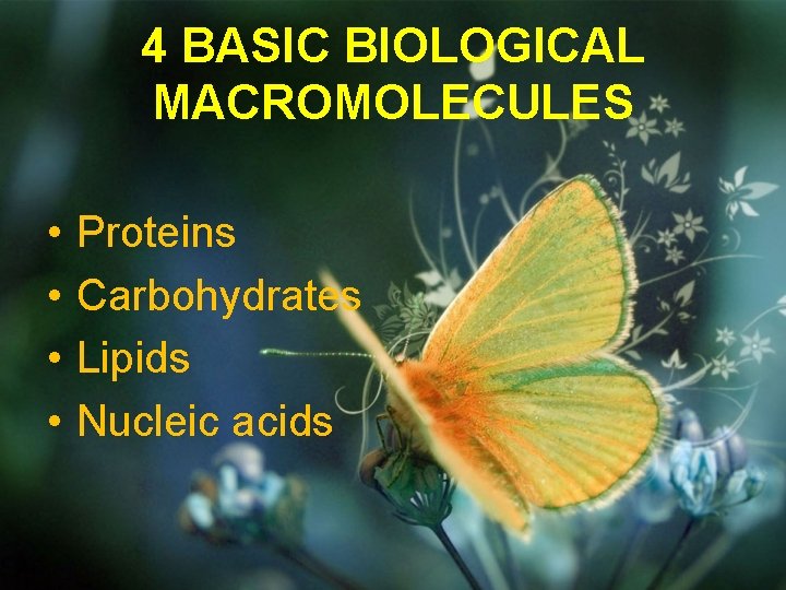 4 BASIC BIOLOGICAL MACROMOLECULES • • Proteins Carbohydrates Lipids Nucleic acids 