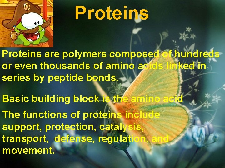 Proteins are polymers composed of hundreds or even thousands of amino acids linked in