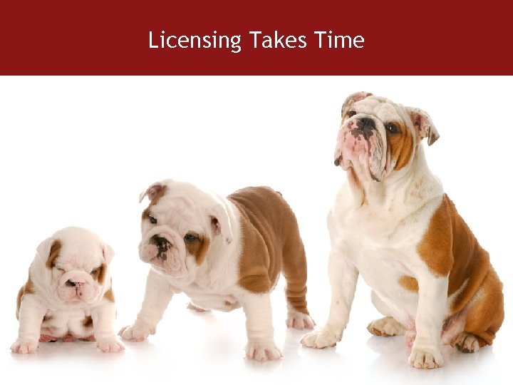 Licensing Takes Time 