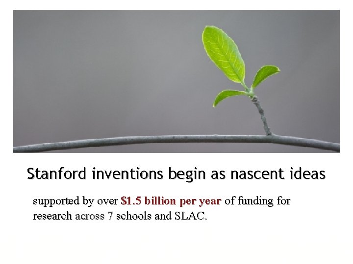Stanford inventions begin as nascent ideas supported by over $1. 5 billion per year