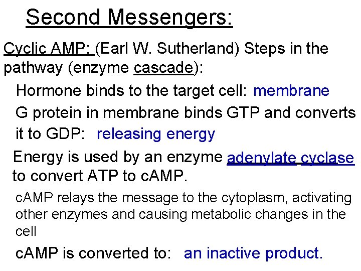 Second Messengers: Cyclic AMP: (Earl W. Sutherland) Steps in the pathway (enzyme cascade): Hormone