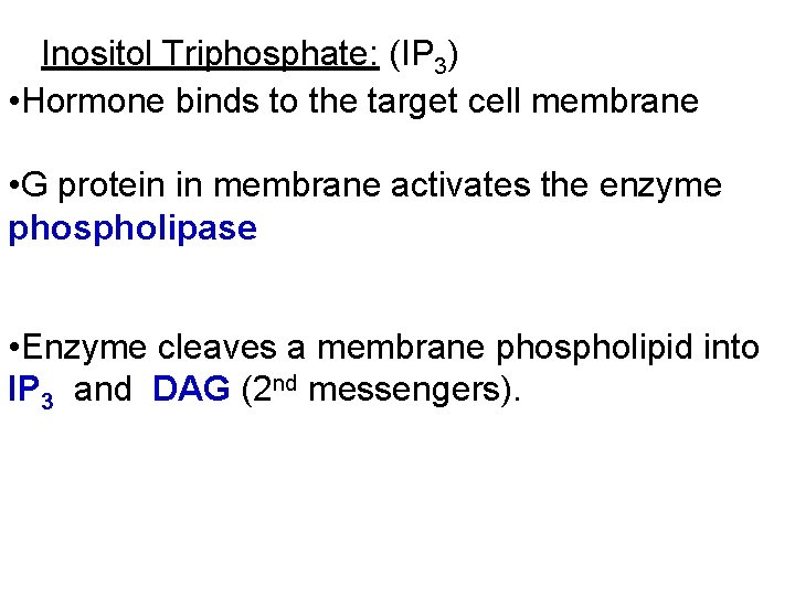 Inositol Triphosphate: (IP 3) • Hormone binds to the target cell membrane • G