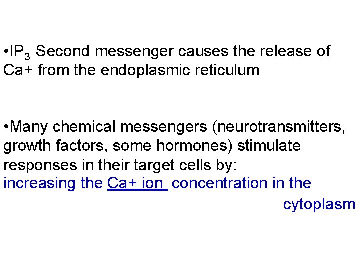  • IP 3 Second messenger causes the release of Ca+ from the endoplasmic