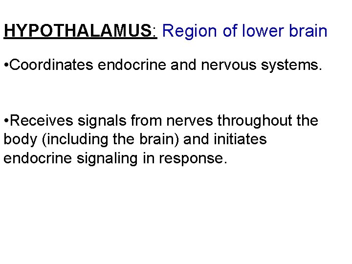 HYPOTHALAMUS: Region of lower brain • Coordinates endocrine and nervous systems. • Receives signals