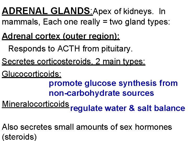 ADRENAL GLANDS: Apex of kidneys. In mammals, Each one really = two gland types: