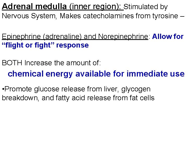 Adrenal medulla (inner region): Stimulated by Nervous System, Makes catecholamines from tyrosine – Epinephrine