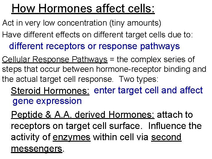 How Hormones affect cells: Act in very low concentration (tiny amounts) Have different effects