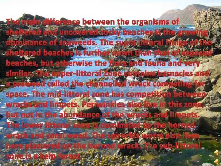 The main difference between the organisms of sheltered and uncovered rocky beaches is the