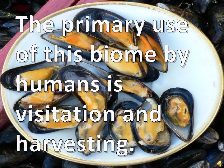 The primary use of this biome by humans is visitation and harvesting. 