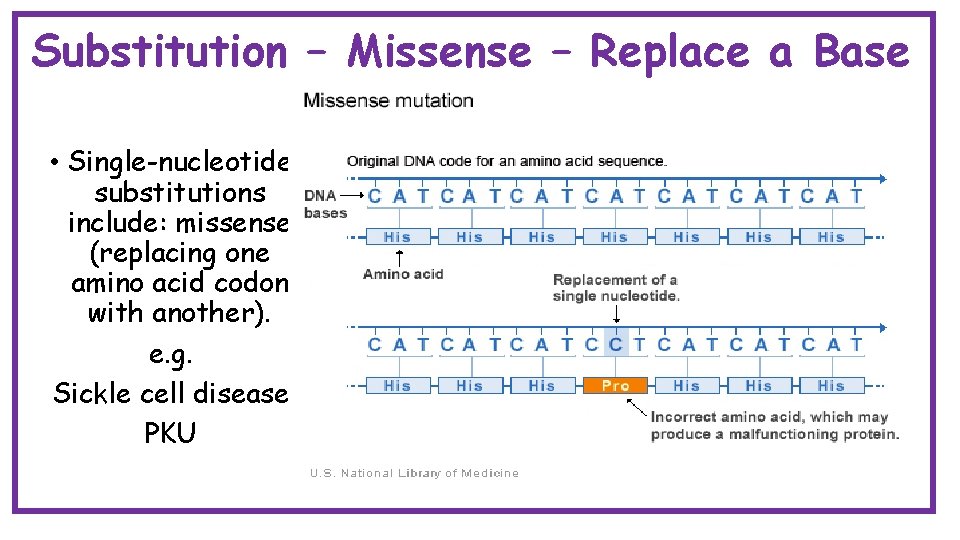 Substitution – Missense – Replace a Base • Single-nucleotide substitutions include: missense (replacing one