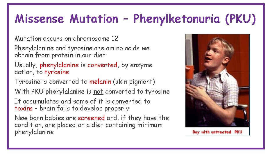 Missense Mutation – Phenylketonuria (PKU) Mutation occurs on chromosome 12 Phenylalanine and tyrosine are