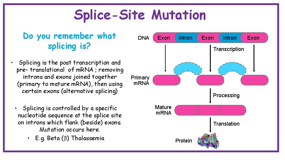 Splice-Site Mutation Do you remember what splicing is? • Splicing is the post transcription