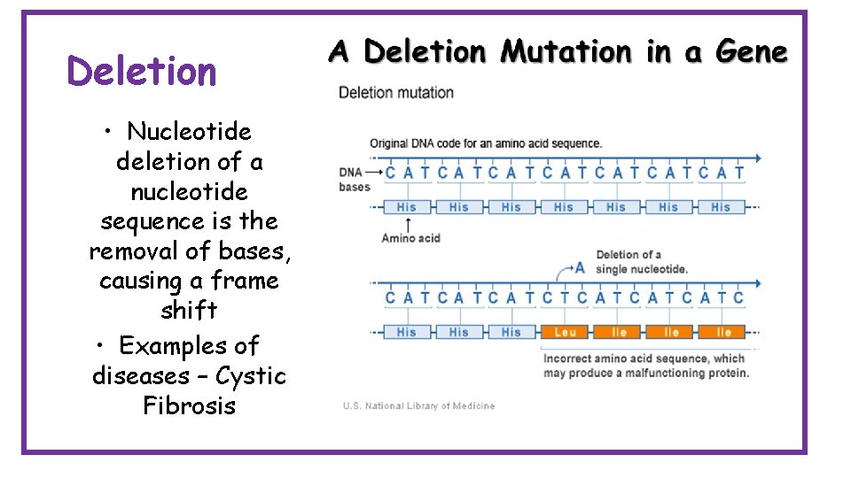 Deletion • Nucleotide deletion of a nucleotide sequence is the removal of bases, causing