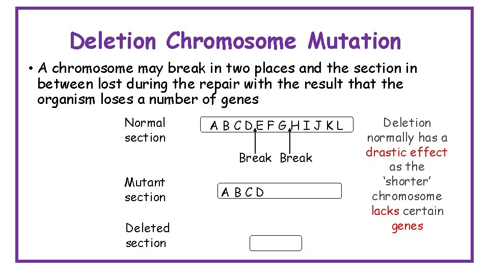 Deletion Chromosome Mutation • A chromosome may break in two places and the section
