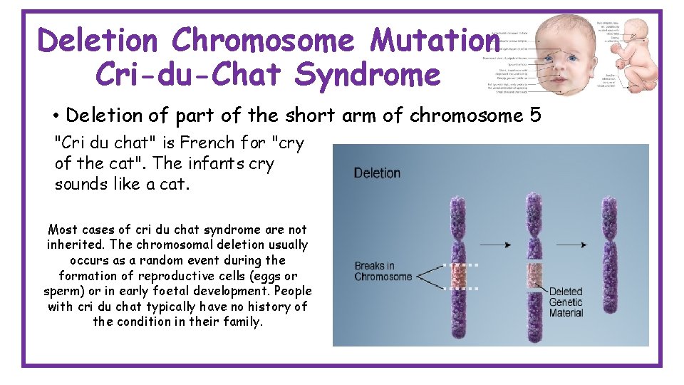 Deletion Chromosome Mutation Cri-du-Chat Syndrome • Deletion of part of the short arm of